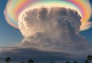 One in a Billion Moments in Nature Caught on Camera